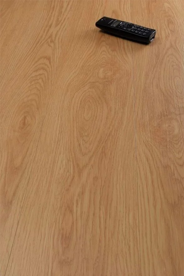 LVT-Roble-Egeo