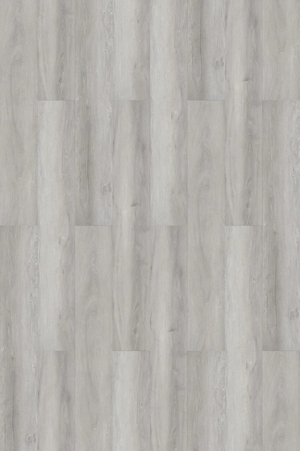 Silver-Oak1